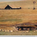 farmhouse in a field